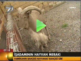 KANAL7 TV