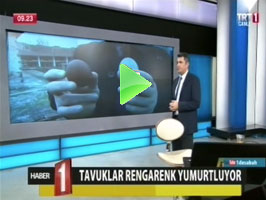 TRT1 TV