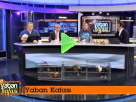 YABAN TV
