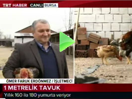 TRT Haber Canlı