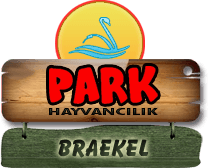 Park Hayvancılık