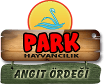 Park Hayvancılık