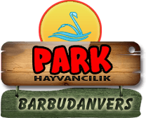 Park Hayvancılık