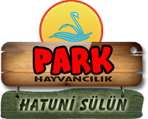 Park Hayvancılık