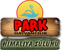 Park Hayvancılık