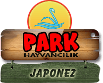 Park Hayvancılık