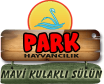 Park Hayvancılık