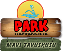 Park Hayvancılık