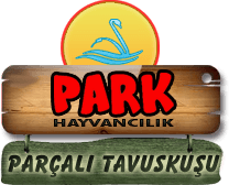 Park Hayvancılık