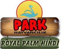 Park Hayvancılık