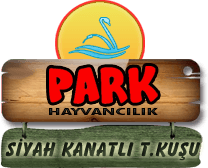 Park Hayvancılık